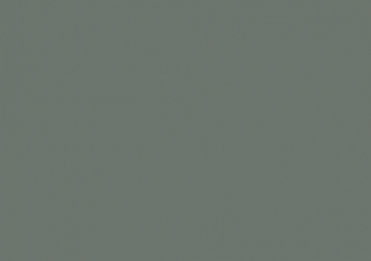 Sage  AFP 5406M *matched color at the back