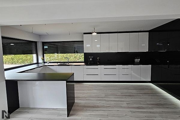 Black 8421 and 6000 Arctic White - Wektor Styl