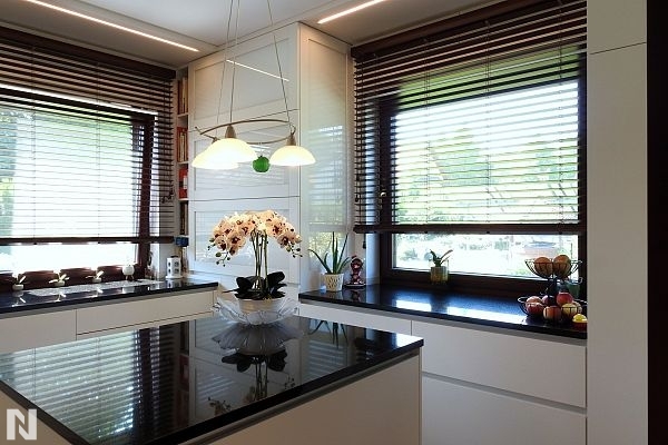 Ice White 1982 - Piaw